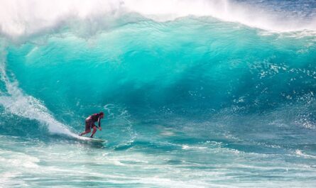 découvrez l'univers des sports nautiques : surf, plongée, voile et bien plus encore. profitez des sensations fortes et de la beauté des paysages aquatiques tout en améliorant vos compétences. rejoignez notre communauté passionnée d'activités maritimes.