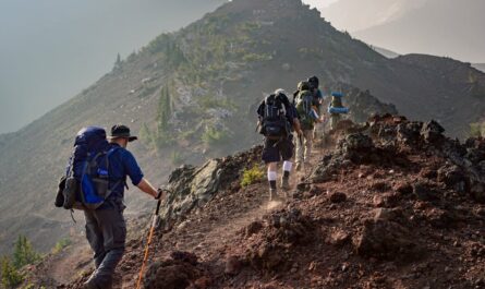 découvrez les merveilles de la randonnée à travers des paysages à couper le souffle. explorez des sentiers variés, profitez de l'air frais et reconnectez-vous avec la nature grâce à nos conseils et astuces pour les passionnés de trekking.