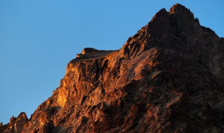 découvrez la beauté des parcs nationaux français, où la nature sauvage rencontre des paysages époustouflants. explorez la richesse de la biodiversité, les sentiers de randonnée et les activités en plein air qui font de ces lieux des destinations idéales pour les amoureux de la nature.