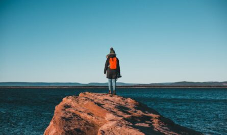 activités à faire en bord de mer en hiver